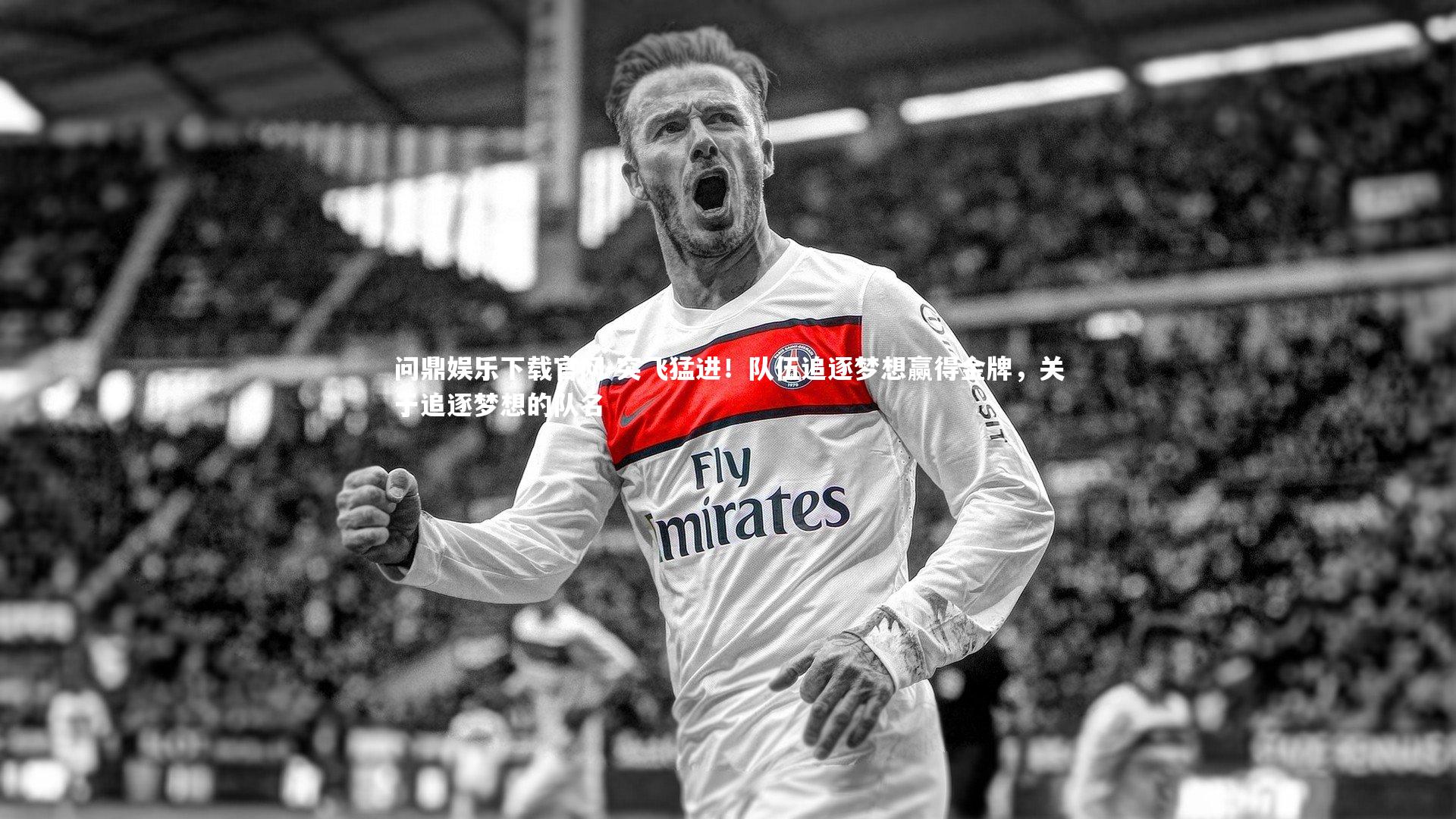 突飞猛进！队伍追逐梦想赢得金牌，关于追逐梦想的队名