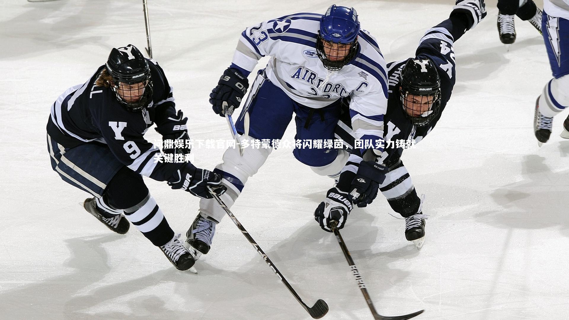 多特蒙德众将闪耀绿茵，团队实力铸就关键胜利